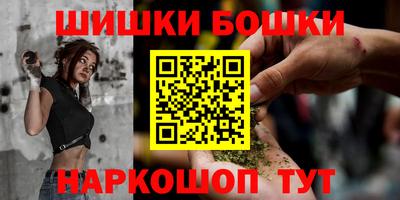 винт Партизанск