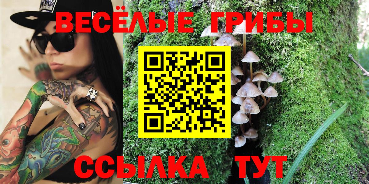Чернушка  купить наркотики сайты  Псилоцибиновые грибы прущие грибы  Вход с VPN  Галлюциногенные грибы MAGIC MUSHROOMS 